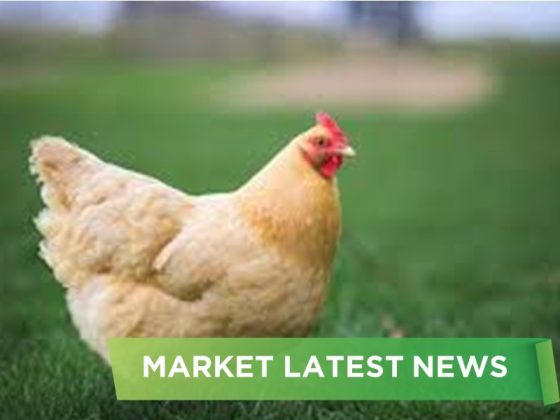 NEWS HEADLINES OF AUGUST 2025