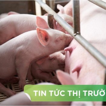 ĐIỂM TIN NỔI BẬT THÁNG 11/2025