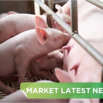 NEWS HEADLINES OF NOVEMBER  2025