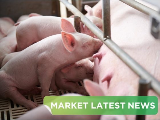 NEWS HEADLINES OF NOVEMBER  2025