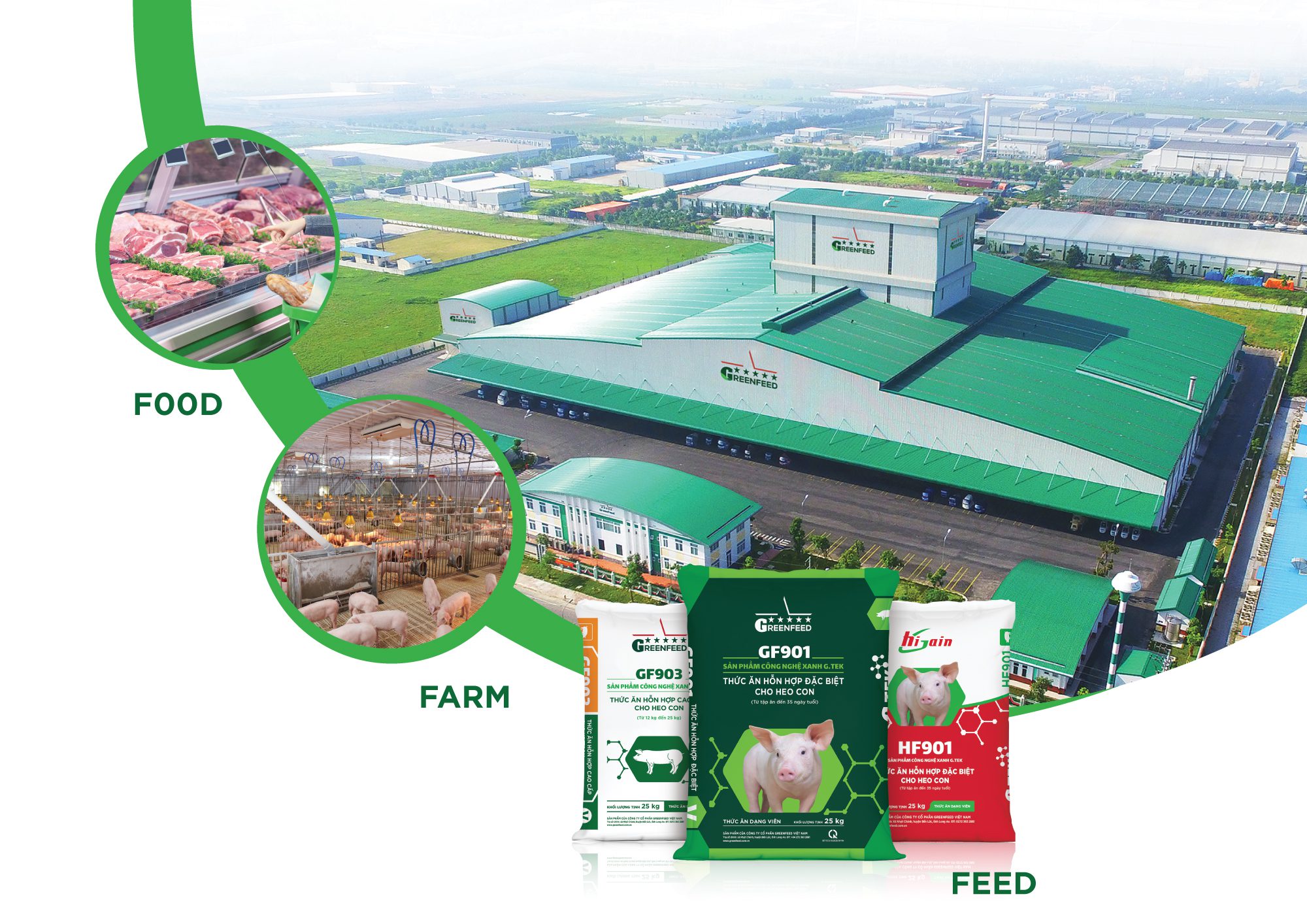 GREENFEED Feed - Farm - Food Plus (3F Plus) healthy food chain model