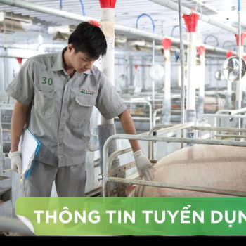 Nhân Viên Tư Vấn Kỹ Thuật Heo (Kỹ Thuật Trại Khách Hàng)