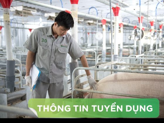 Nhân Viên Tư Vấn Kỹ Thuật Heo (Kỹ Thuật Trại Khách Hàng)
