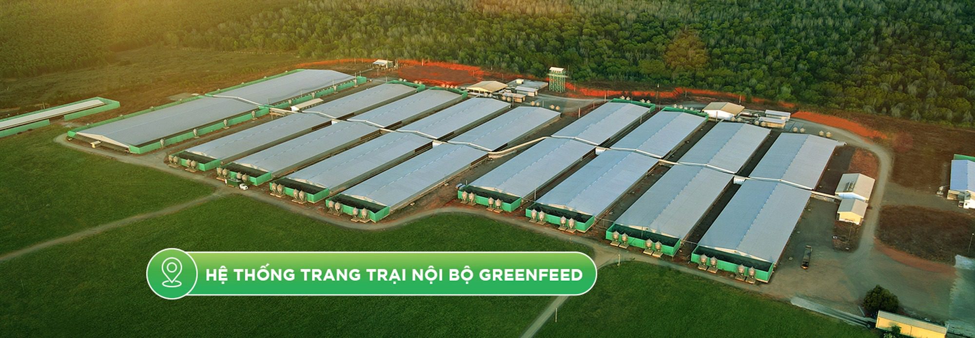 HỆ THỐNG TRANG TRẠI NỘI BỘ GREENFEED