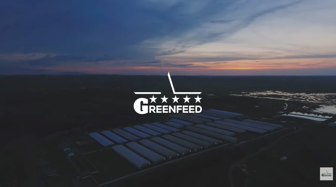 Ngành thức ăn chăn nuôi GREENFEED