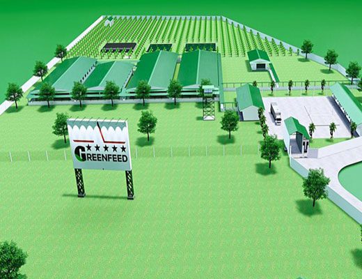 Hệ thống trại chuẩn GREENFEED