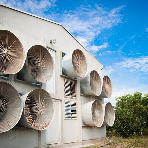 Thiết kế xây dựng chuồng trại