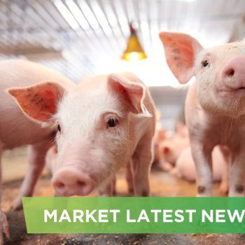 NEWS HEADLINES OF DECEMBER  2025