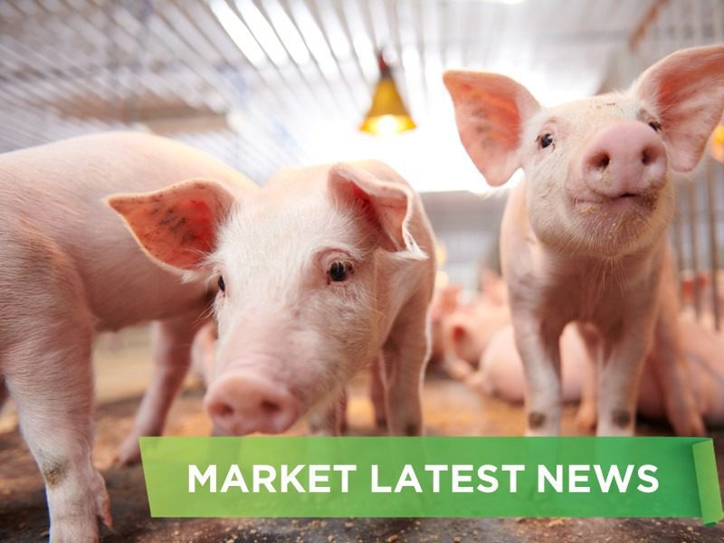 NEWS HEADLINES OF DECEMBER  2025