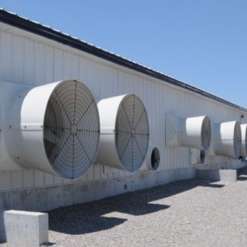 HỆ THỐNG LÀM MÁT CHUỒNG TRẠI, HIỆU QUẢ TỐI ƯU CHO CHĂN NUÔI HIỆN NAY