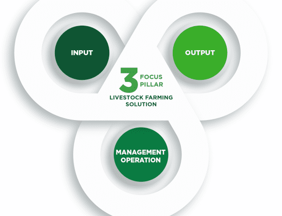 EVALUATING LOCATION SELECTION, PLANNING, DESIGN, AND COST ESTIMATE FOR LIVESTOCK FARMING BARN, SHELTER CONSTRUCTION