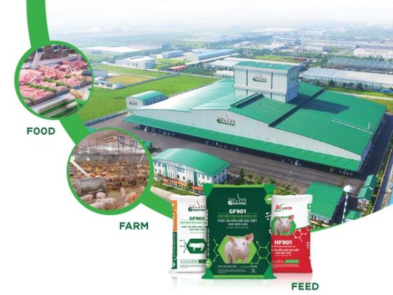 CLEAN ANIMAL FEED – THE FIRST LINK OF THE GREENFEED HEALTHY FOOD CHAIN