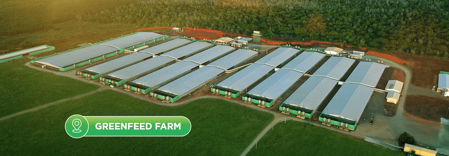 GREENFEED FARM