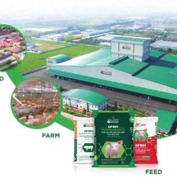 THỨC ĂN CHĂN NUÔI SẠCH – MẮT XÍCH ĐẦU TIÊN CỦA CHUỖI THỰC PHẨM LÀNH GREENFEED