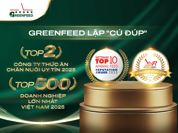 GREENFEED LẬP “CÚ ĐÚP” TẠI HAI BẢNG XẾP HẠNG UY TÍN VỀ HOẠT ĐỘNG KINH DOANH