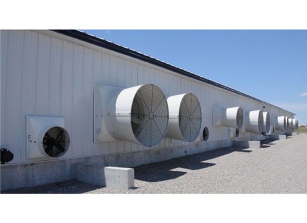 Hệ thống giấy làm mát