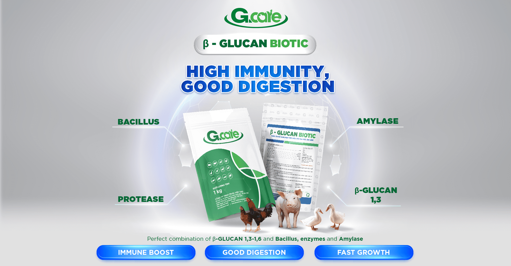 B - Glucan Biotic High Immunity, Good Digestion