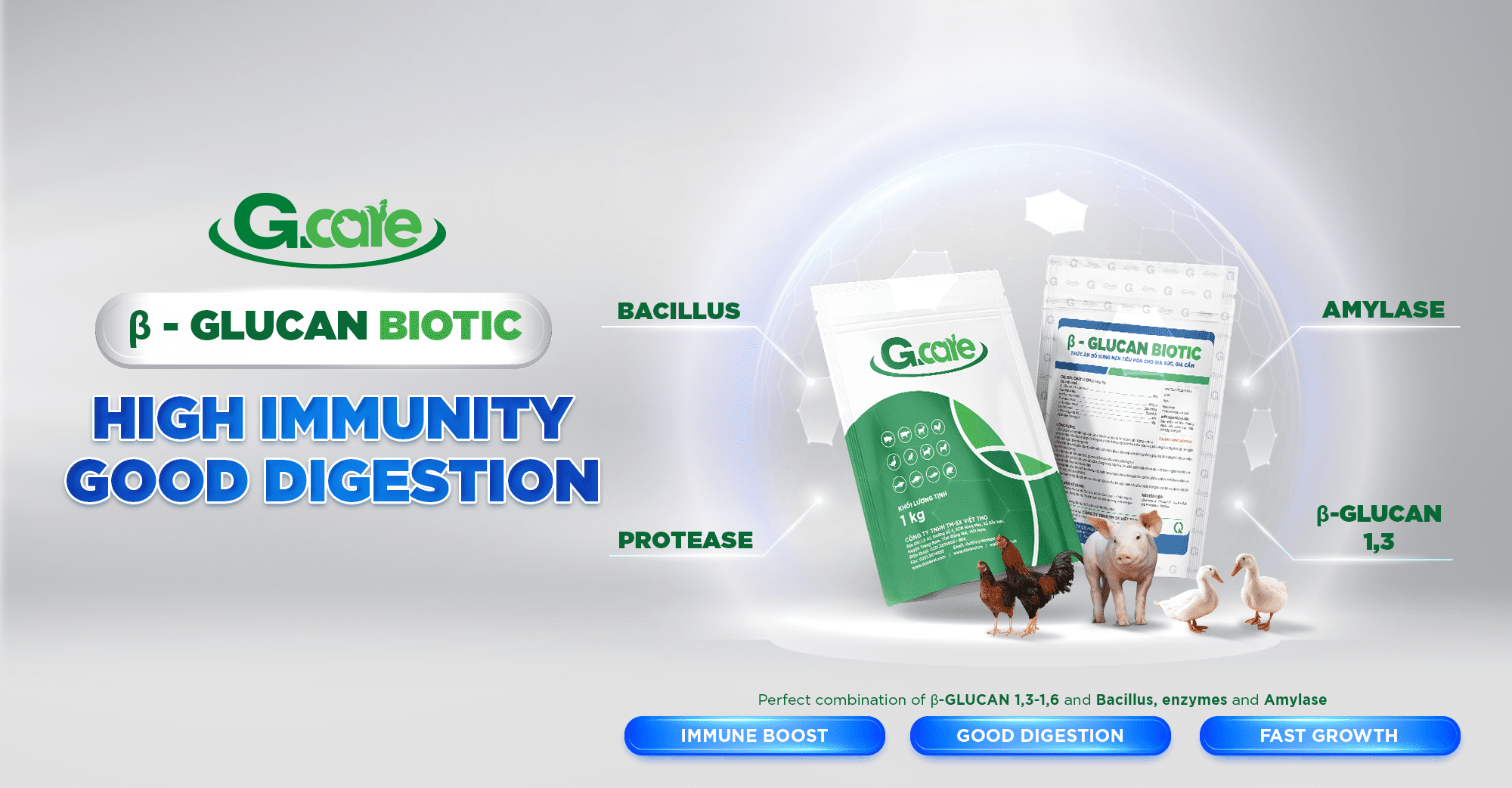 B - Glucan Biotic High Immunity, Good Digestion