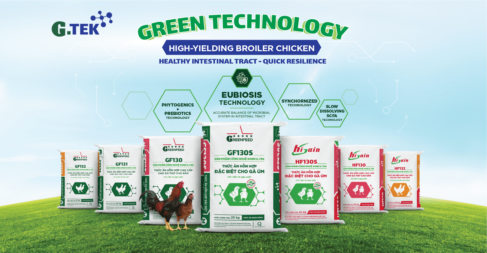 GREEN TECHNOLOGY - HIGH - YIELDING BROILER CHICKEN HEALTHY INTESTINAL TRACT - QUICK RESILIENCE