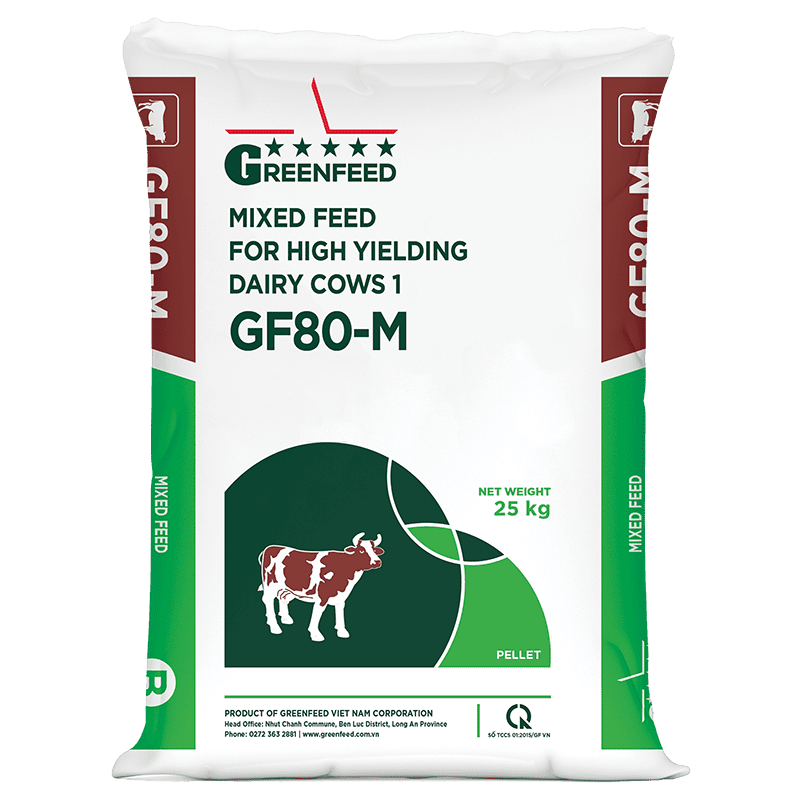 Mixed feed for high yielding dairy cows 1 (GF80-M)