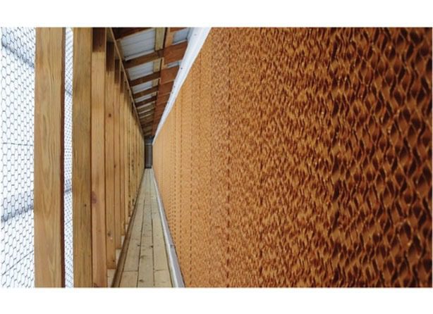 Hệ thống giấy làm mát