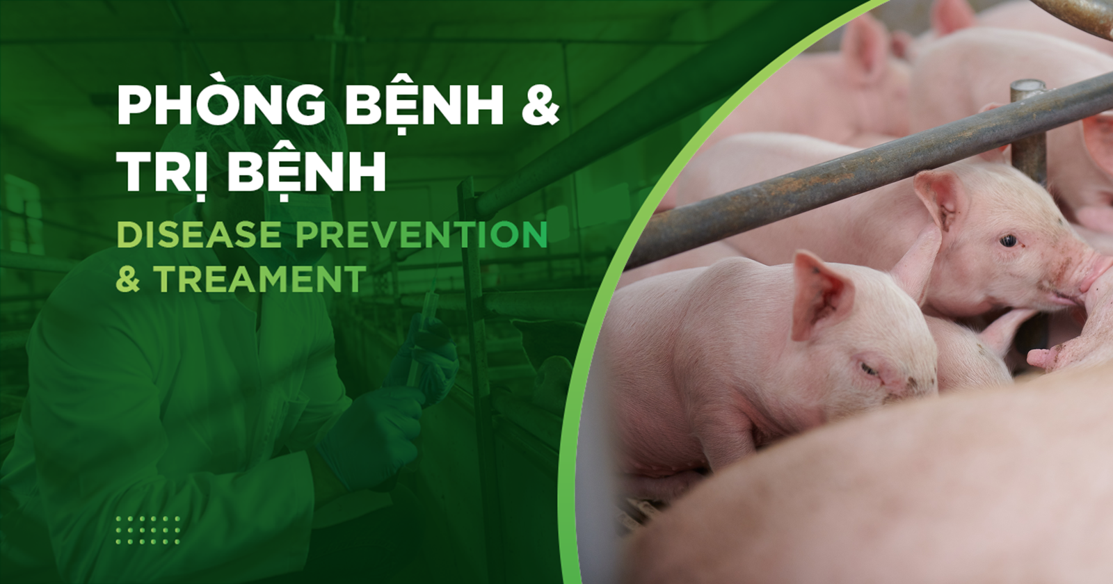 MỘT SỐ BỆNH THƯỜNG GẶP TRÊN HEO THEO MÙA