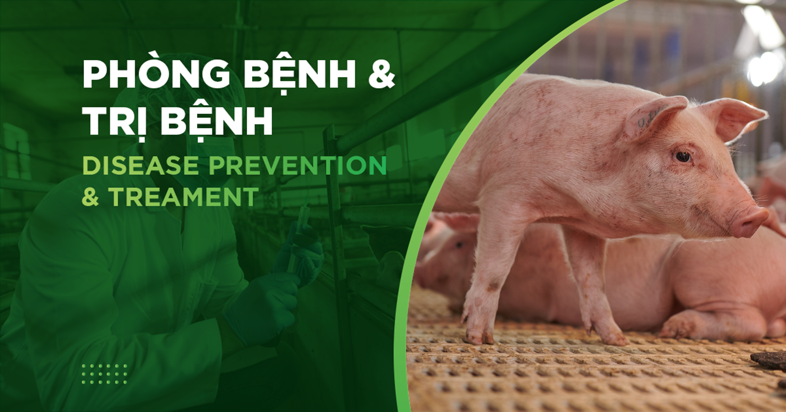 EFFECTIVE METHODS TO PREVENT SWINE FEVER