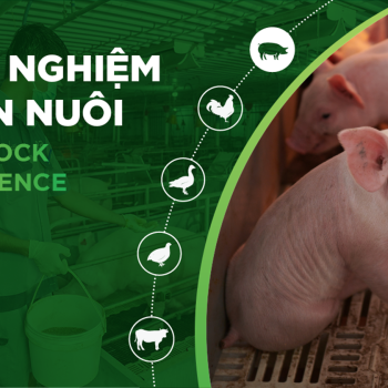 HÀNH TRÌNH THÀNH CÔNG VỚI BỘ GIẢI PHÁP 3 TRỤ CỘT CỦA KHÁCH HÀNG XUÂN TÁNH TẠI BÀ RỊA VŨNG TÀU