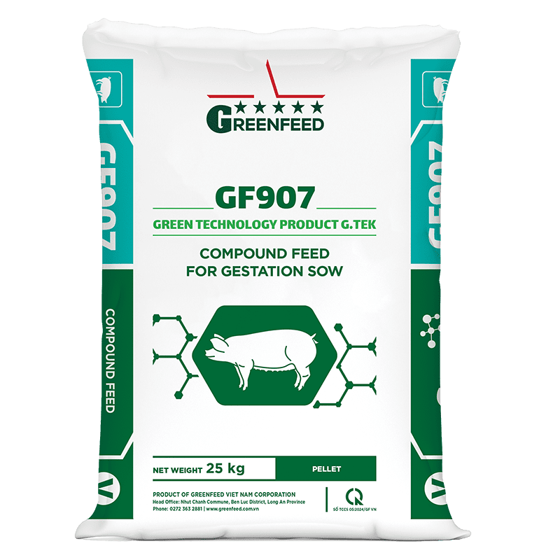 Compound feed for gestation sow (GF907)