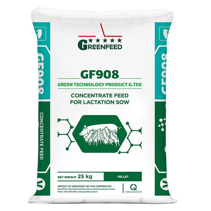 Concentrate feed for lactation sow (GF908)