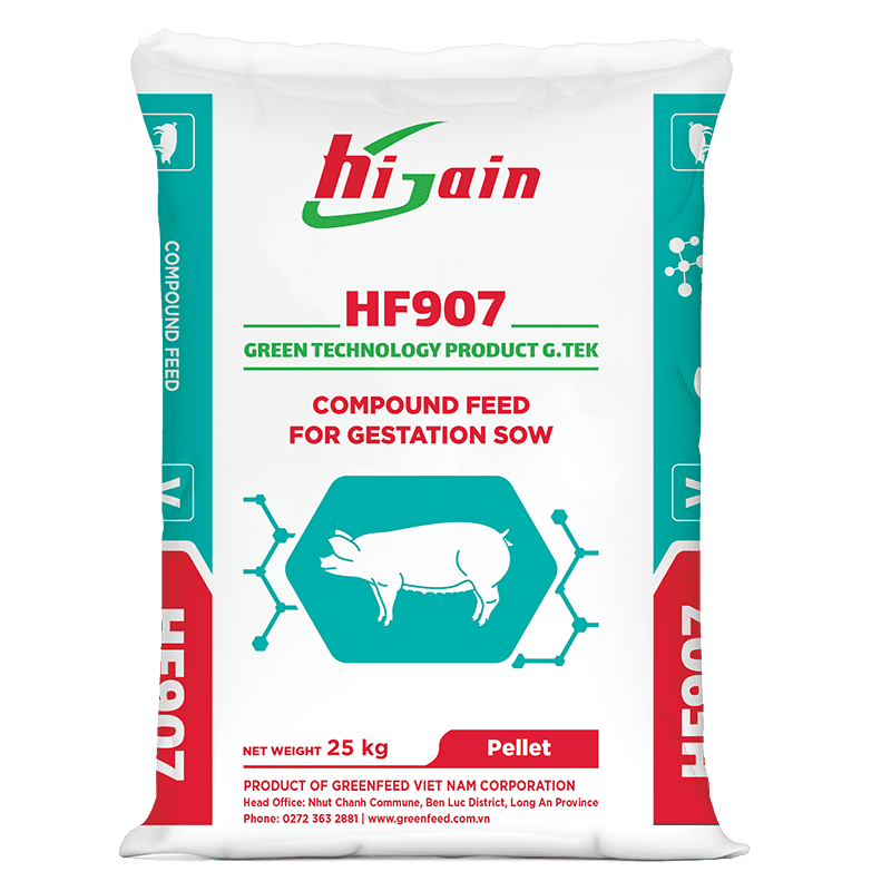 Compound feed for gestation sow (HF907)