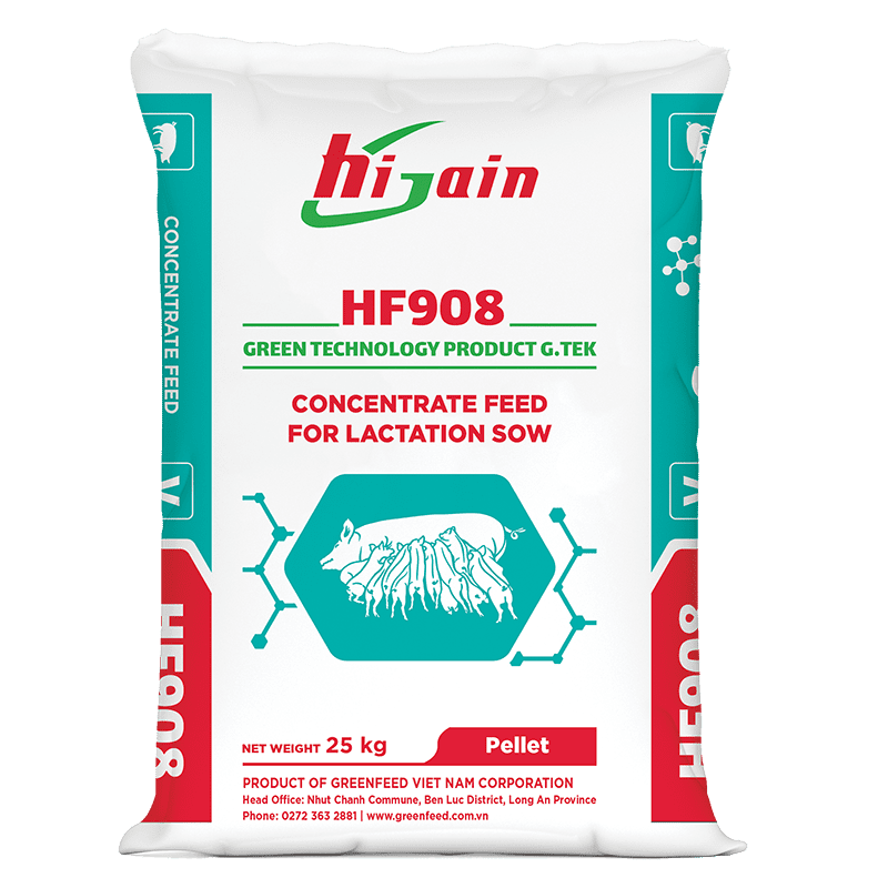 Concentrate feed for lactation sow (HF908)