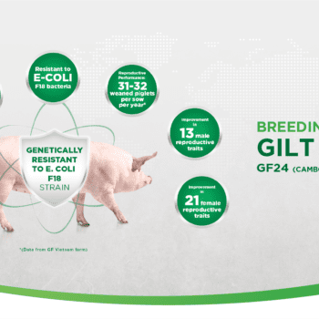 GREENFEED IS PROUD TO PROVIDE INTERNATIONAL STANDARD BREEDS, OPTIMIZE LIVESTOCK FARMING PRODUCTIVITY