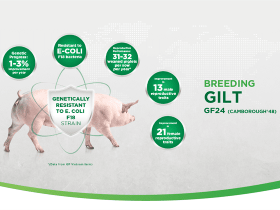 GREENFEED IS PROUD TO PROVIDE INTERNATIONAL STANDARD BREEDS, OPTIMIZE LIVESTOCK FARMING PRODUCTIVITY