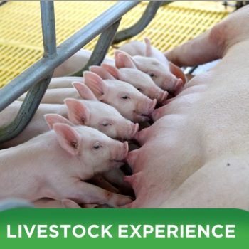 SUCCESSFUL JOURNEY WITH 3 PILLAR SOLUTIONS OF CUSTOMER XUAN TANH IN BA RIA VUNG TAU