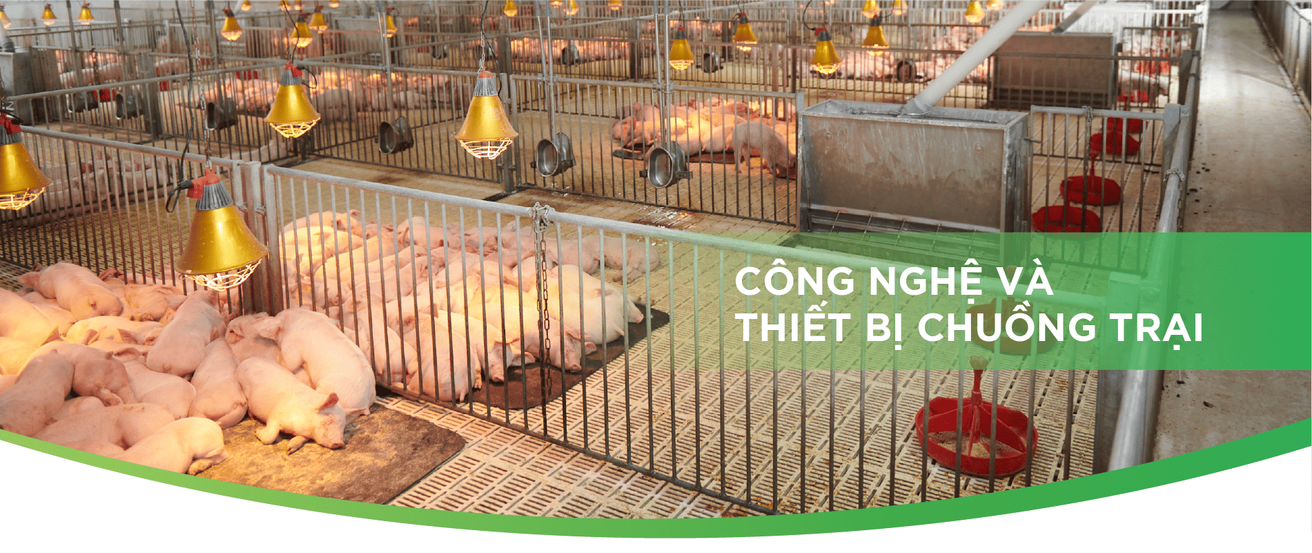 Công nghệ và thiết bị chuồng trại