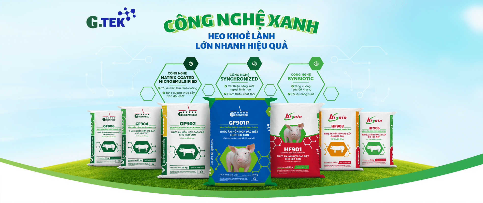 Công nghệ xanh Heo khỏe lanh Lớn nhanh hiệu quả
