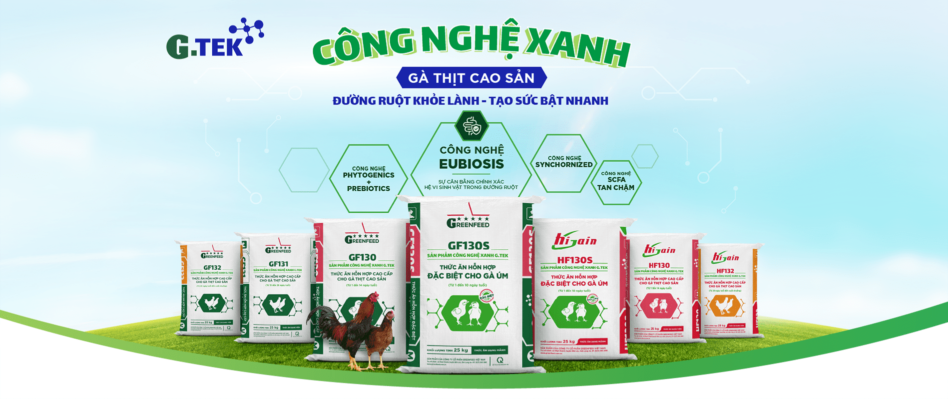 Công nghệ xanh Gà thịt cao sản Đường ruột khỏe lành - Tạo sức bật nhanh