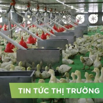 ĐIỂM TIN NỔI BẬT THÁNG 01/2026