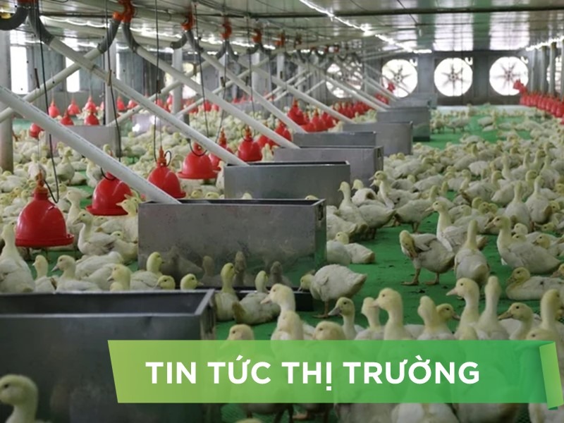 ĐIỂM TIN NỔI BẬT THÁNG 01/2026
