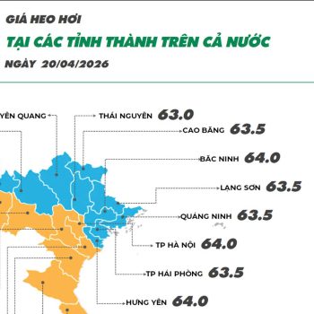 Cập nhật giá ngày 20/04/2026 các sản phẩm chăn nuôi hôm nay