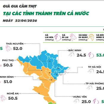 Cập nhật giá ngày 23/04/2026 các sản phẩm chăn nuôi hôm nay