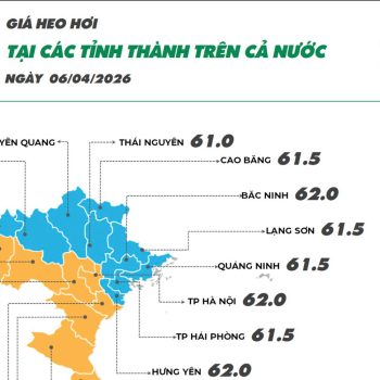 Updated prices  of April 6, 2026 for livestock products.