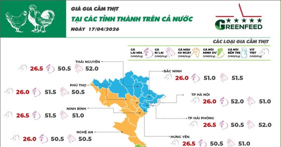 Cập nhật giá ngày 17/04/2026 các sản phẩm chăn nuôi hôm nay