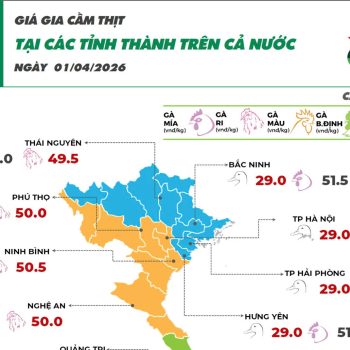 April 1, 2026 Updated prices of livestock products today