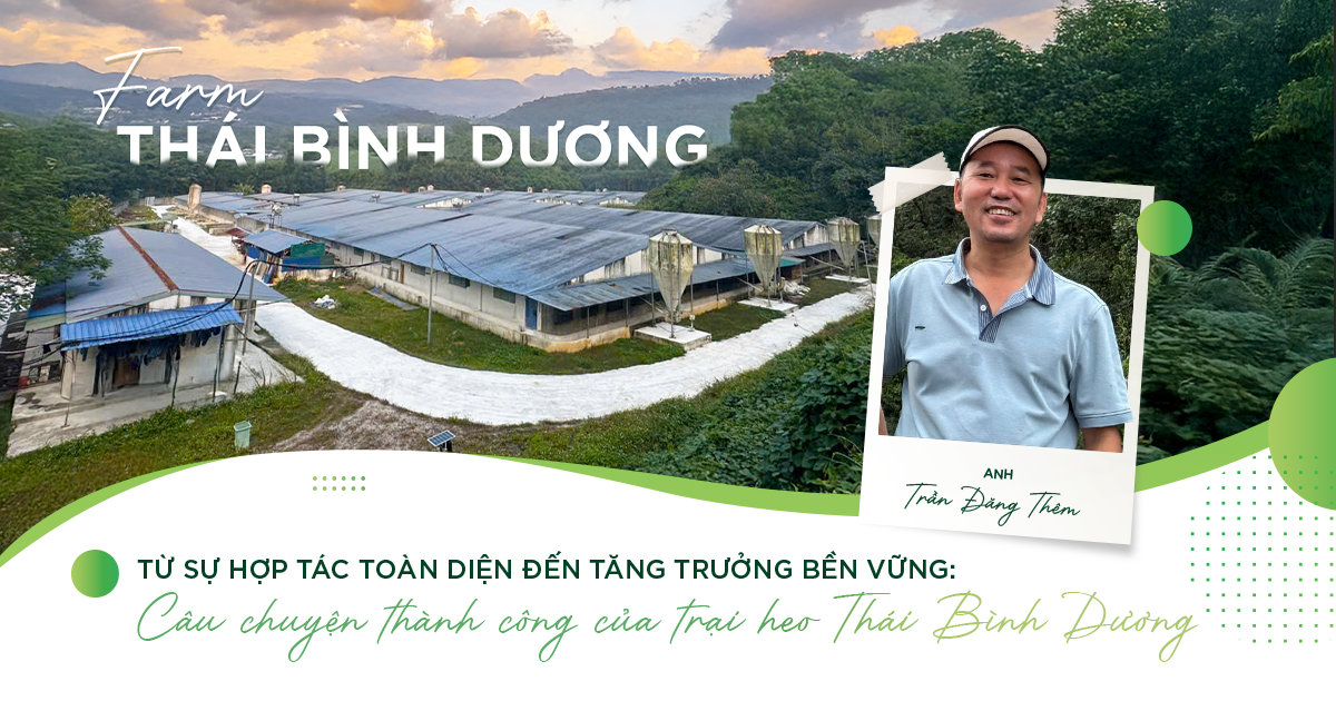 Anh Trần Đăng Thêm