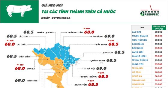 Ngày 29/05/2026 giá heo hơi ghi nhận giảm nhẹ, giá vịt thịt tiếp tục ghi nhận những diễn biến tích cực