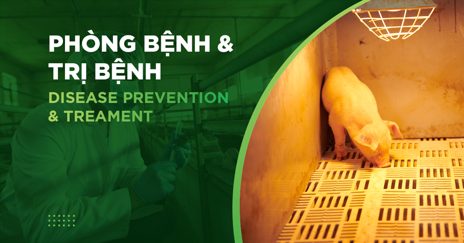 QUẢN LÝ NHIỆT ĐỘ, ĐỘ ẨM TRONG TRẠI HEO – YẾU TỐ QUYẾT ĐỊNH SỨC KHỎE VÀ TĂNG TRỌNG ĐÀN HEO