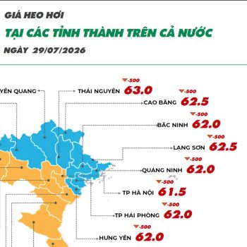Ngày 29/07/2026 giá heo hơi tiếp tục giảm, giá gà Ri tăng nhẹ