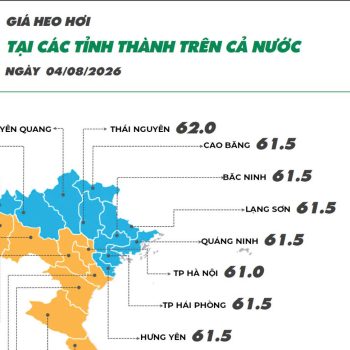 Ngày 04/08/2026 giá heo hơi ghi nhận xu hướng giảm